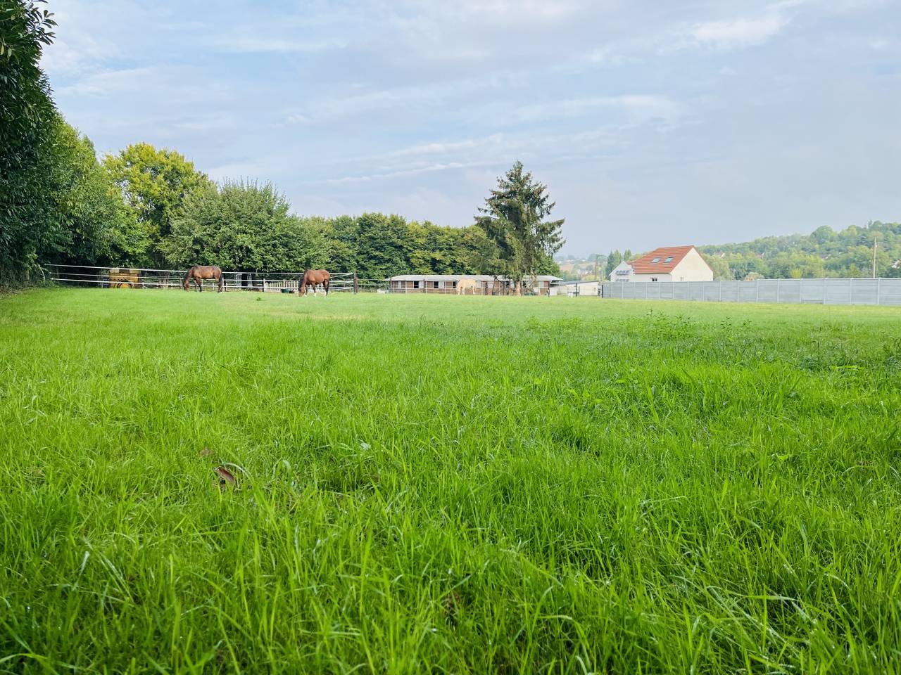 Hippisch vastgoed Koop Seine-et-Marne