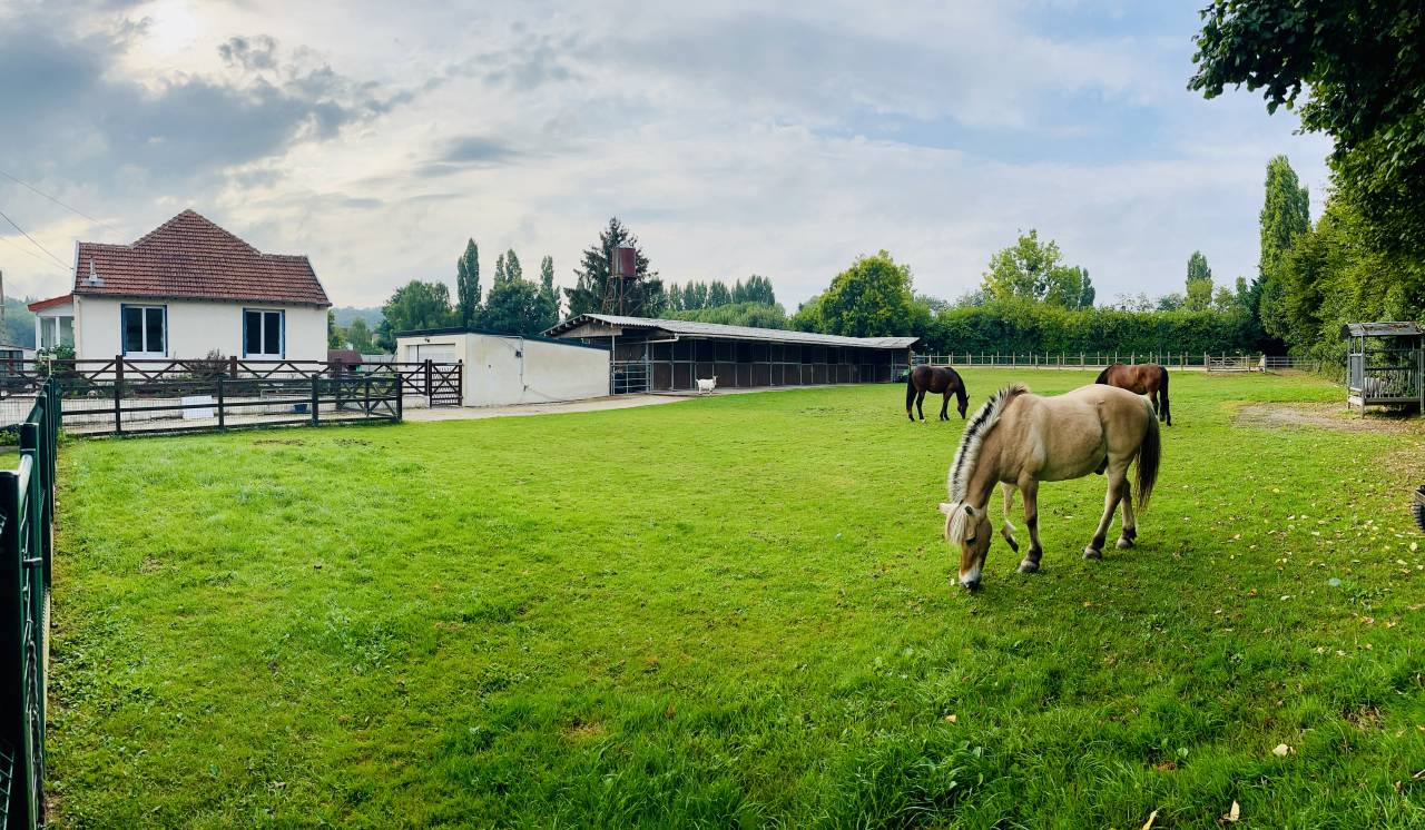 Hippisch vastgoed Koop Seine-et-Marne