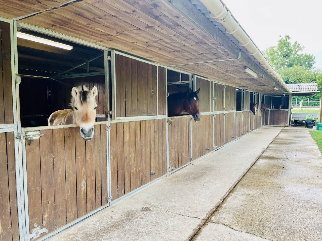 Hippisch vastgoed Koop Seine-et-Marne