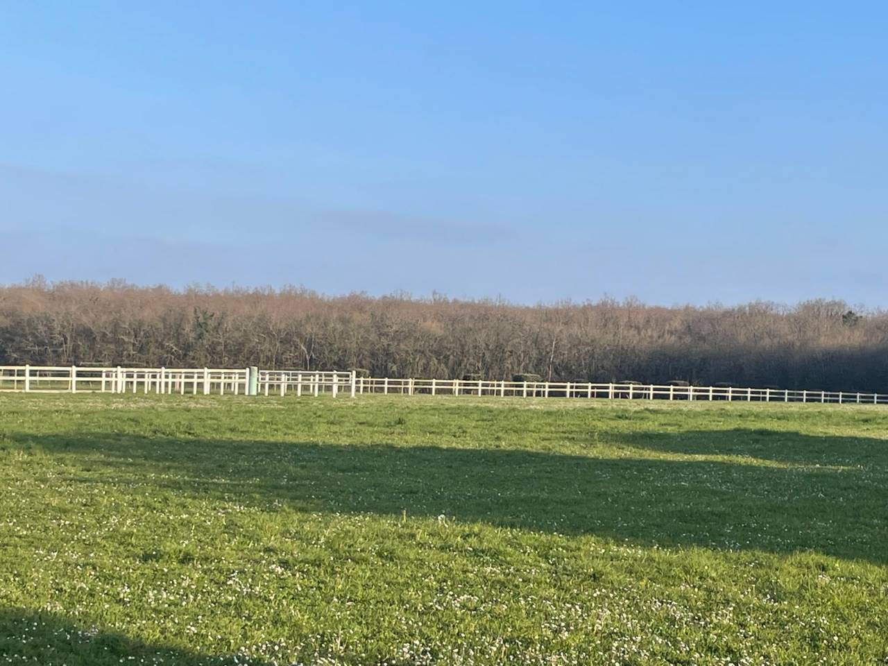 Hippisch vastgoed Koop Deux-Sèvres