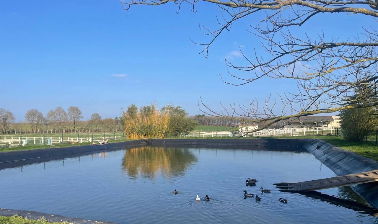 Hippisch vastgoed Koop Deux-Sèvres