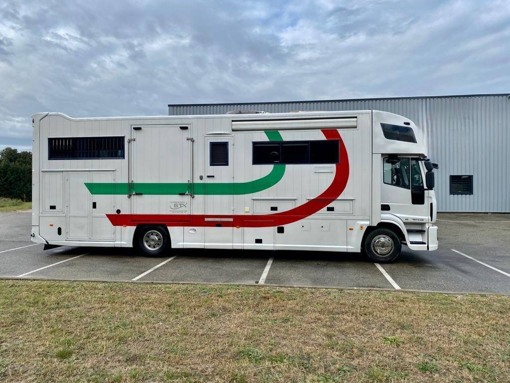 Zware paardenvrachtwagen (groot rijbewijs) Iveco IVECO 0 Tweedehands