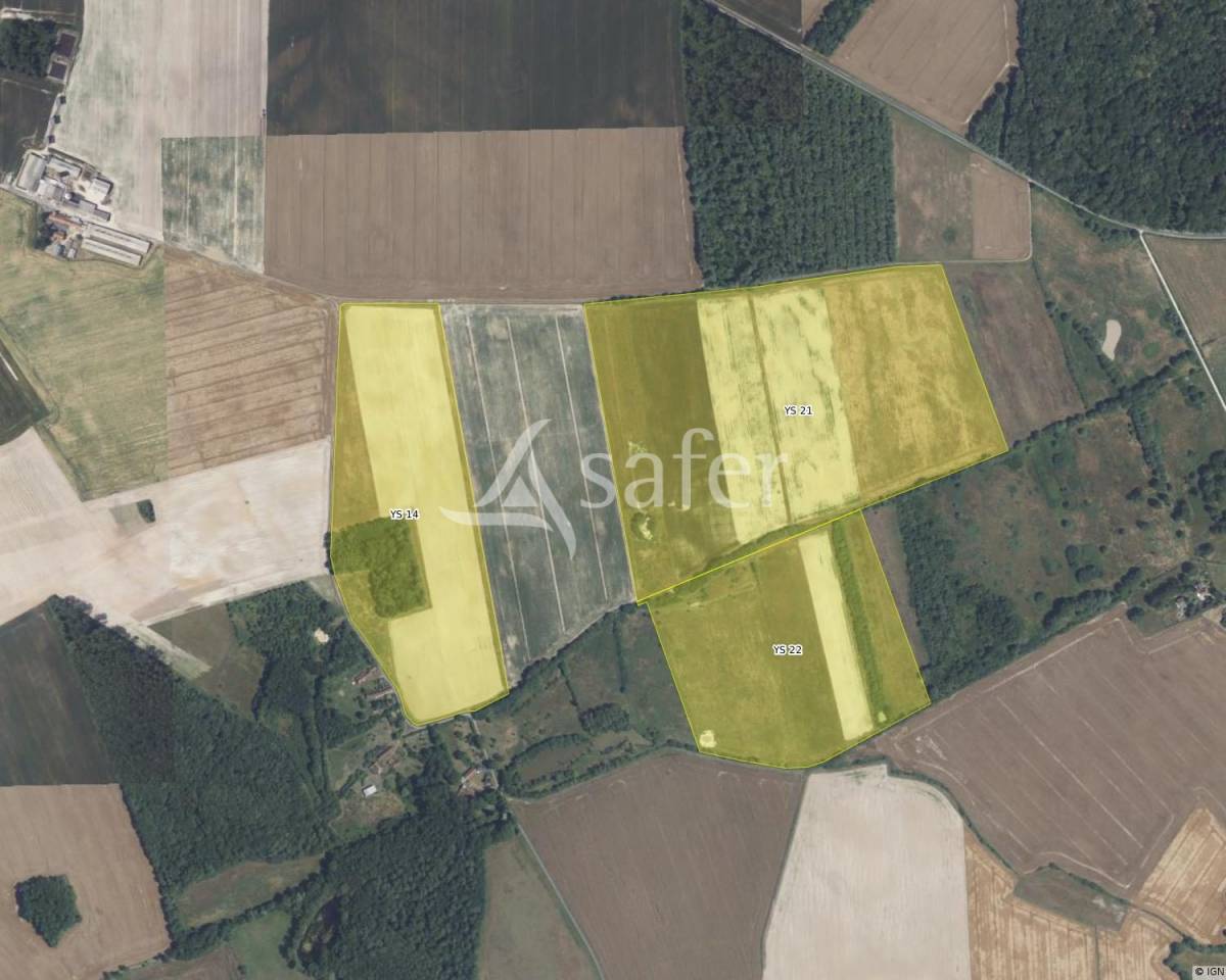 Landbouw bedrijf Koop Indre-et-Loire