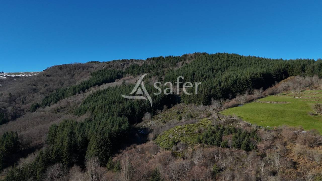 Ander plattelands vastgoed Koop Ardèche