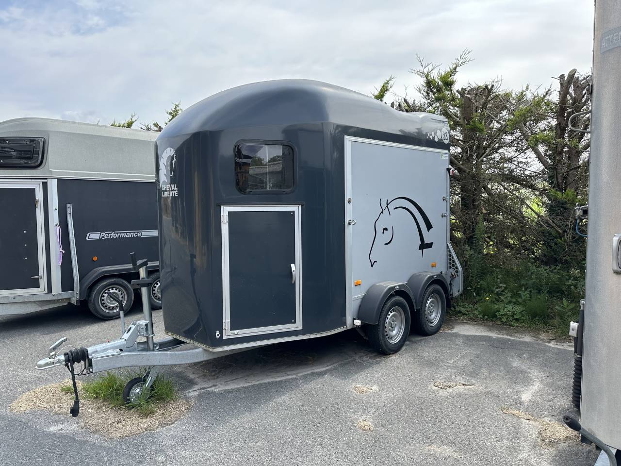 Paardentrailers Cheval Liberté GOLD 3 2 Paarden 2023 Tweedehands