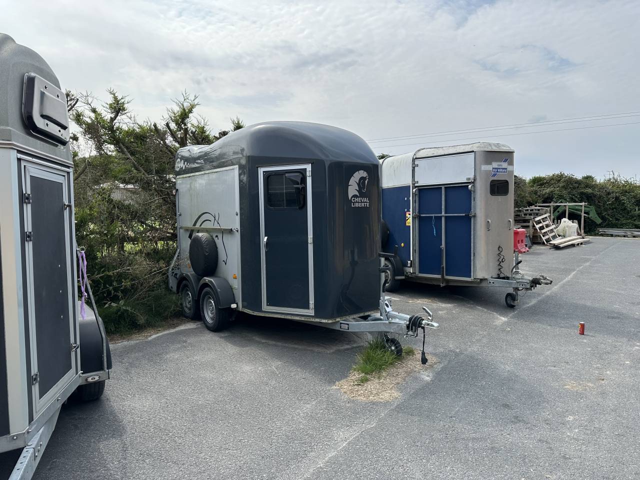 Paardentrailers Cheval Liberté GOLD 3 2 Paarden 2023 Tweedehands