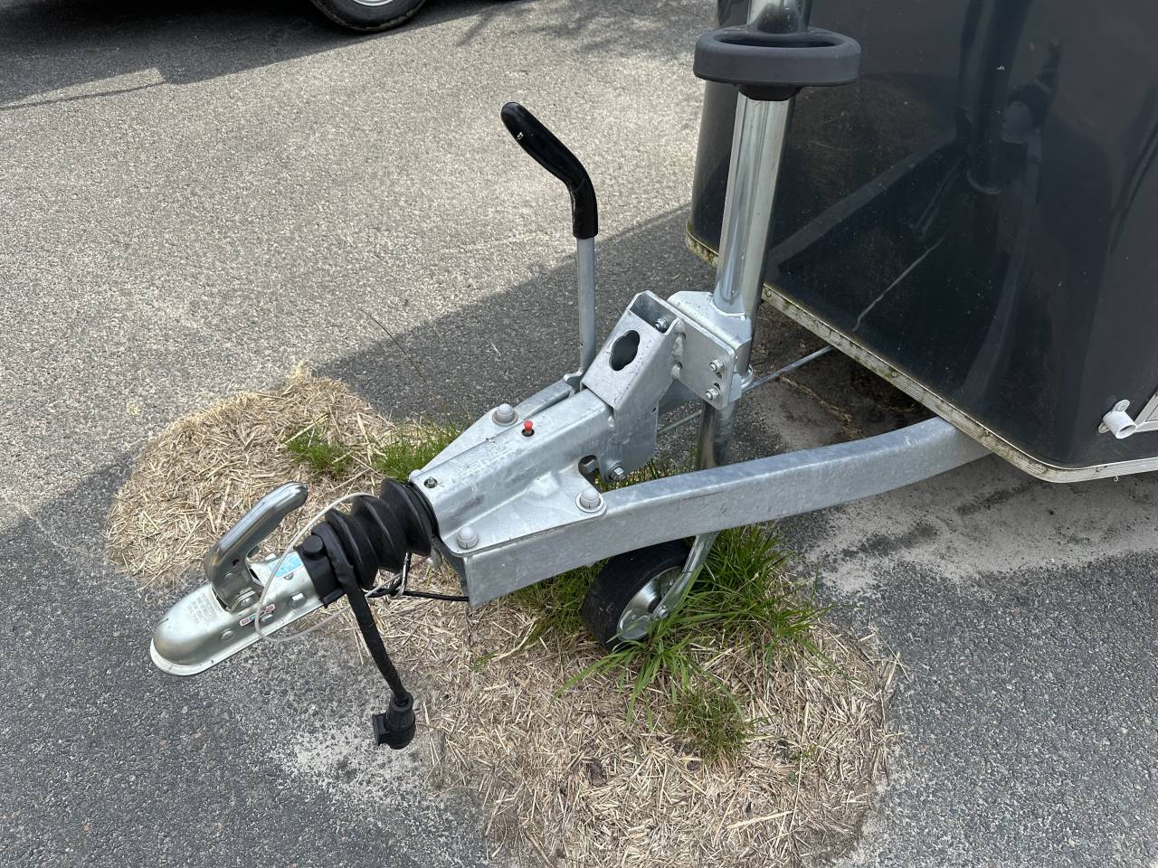 Paardentrailers Cheval Liberté GOLD 3 2 Paarden 2023 Tweedehands