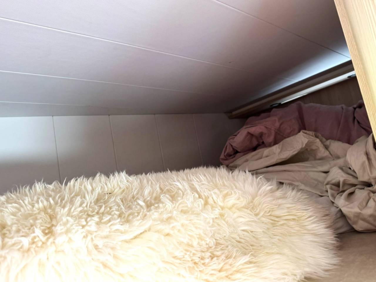 Zware paardenvrachtwagen (groot rijbewijs) Autre marque VOLVO 0 Tweedehands