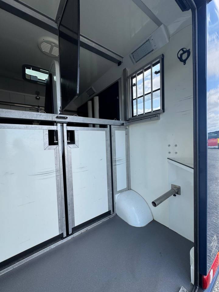 Kleine paardenvrachtwagen (B rijbewijs) Renault STX 2015 Tweedehands