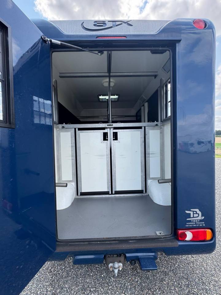 Kleine paardenvrachtwagen (B rijbewijs) Renault STX 2015 Tweedehands