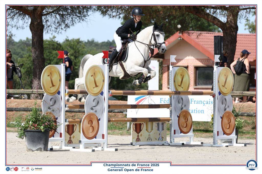 Veulen (ml) Connemara Te koop 2025 Schimmel ,  Elwood blues d’Argan