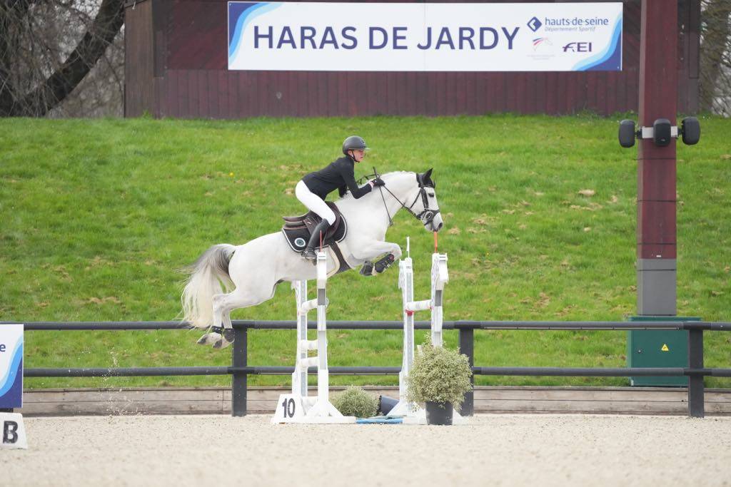 Veulen (ml) Connemara Te koop 2025 Schimmel ,  Elwood blues d’Argan