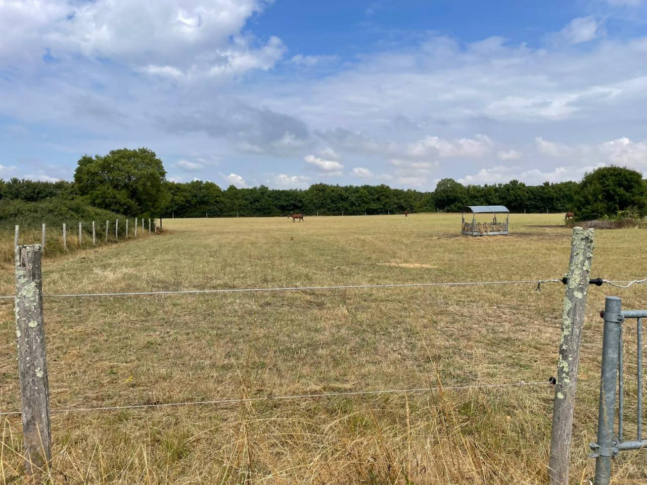 Hippisch vastgoed Koop Deux-Sèvres