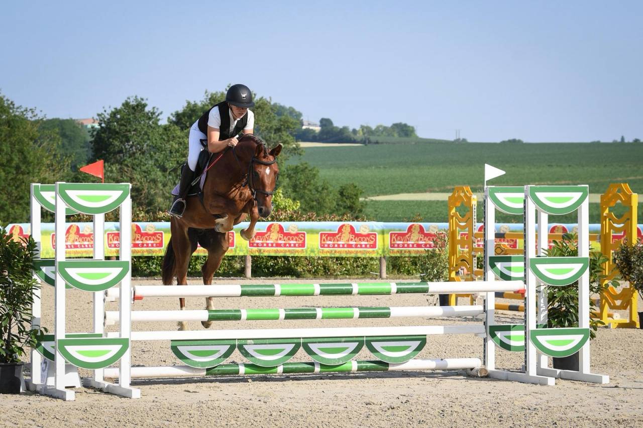 Ruin Franse rijpony PFS Te koop 2021 Vos ,  ELDORADO D'ELLE, SF