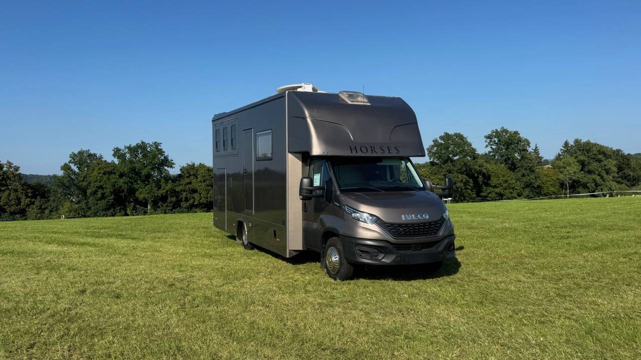 Zware paardenvrachtwagen (groot rijbewijs) Iveco IVECO 0 Tweedehands