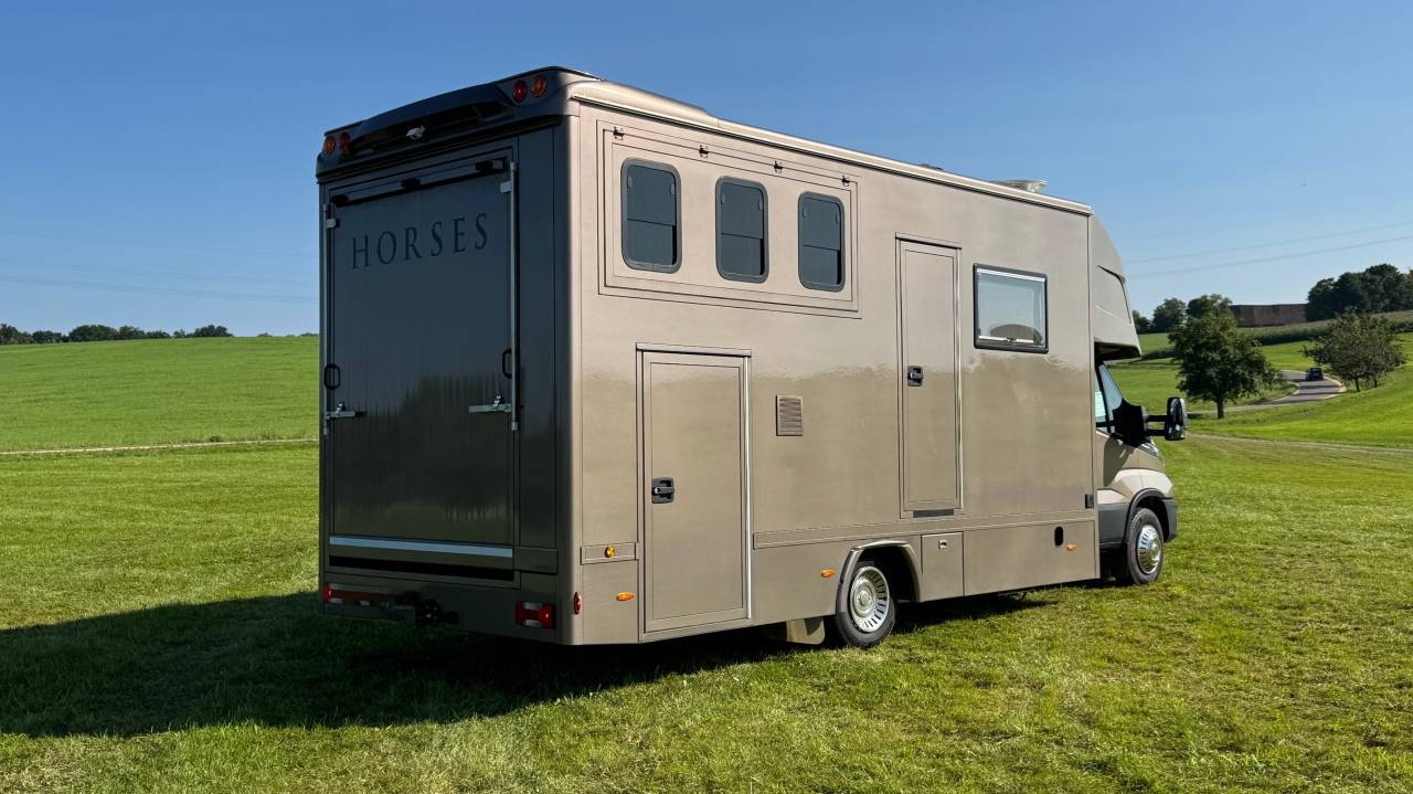 Zware paardenvrachtwagen (groot rijbewijs) Iveco IVECO 0 Tweedehands