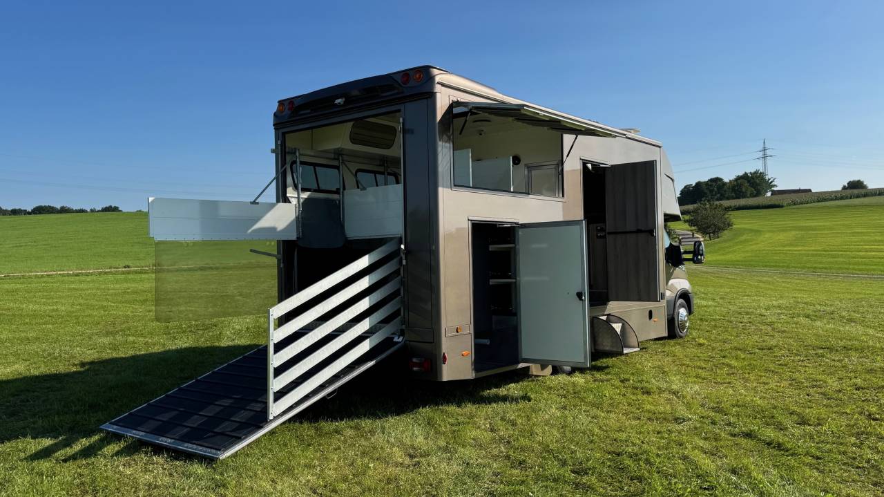 Zware paardenvrachtwagen (groot rijbewijs) Iveco IVECO 0 Tweedehands