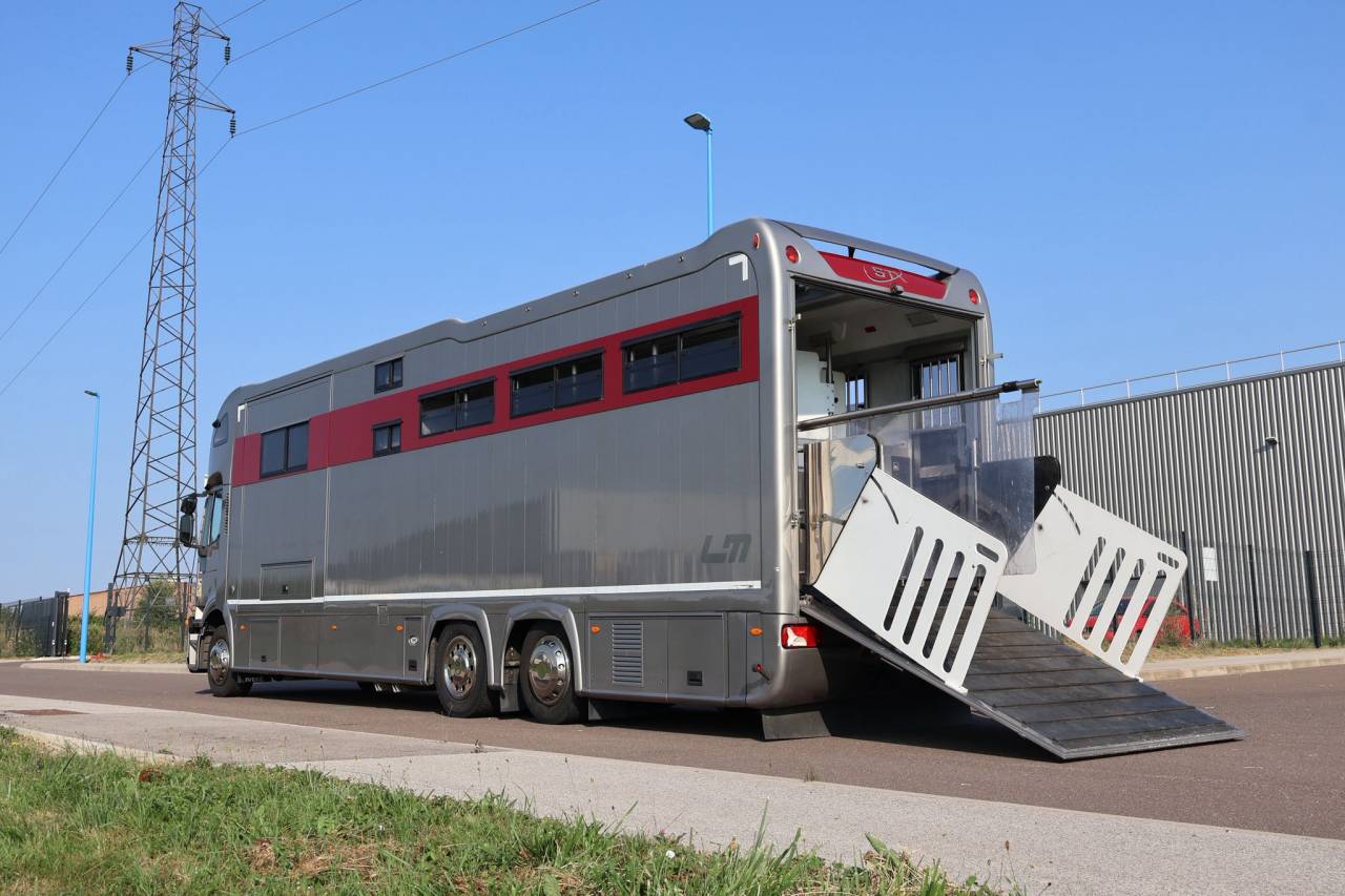 Zware paardenvrachtwagen (groot rijbewijs) STX IVECO 26.360 2011 Tweedehands
