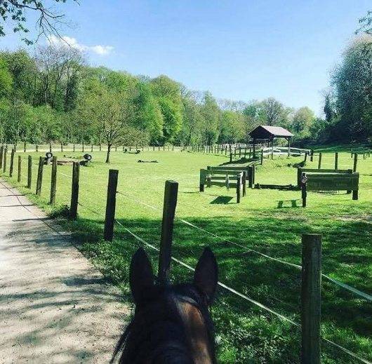 Eigenaren stal Koop Oise