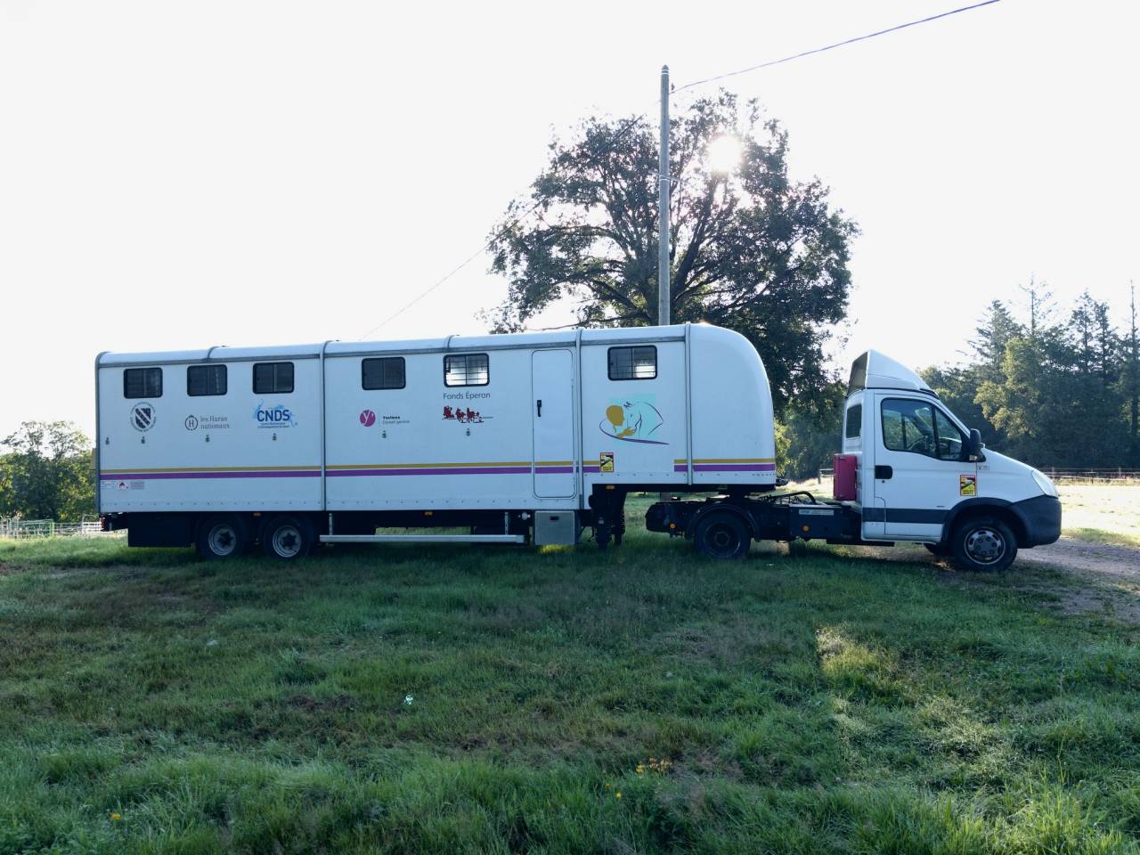 Kleine paardenvrachtwagen (B rijbewijs) Iveco IVECO 35C18 / Semi Remorque VOW 2010 Tweedehands