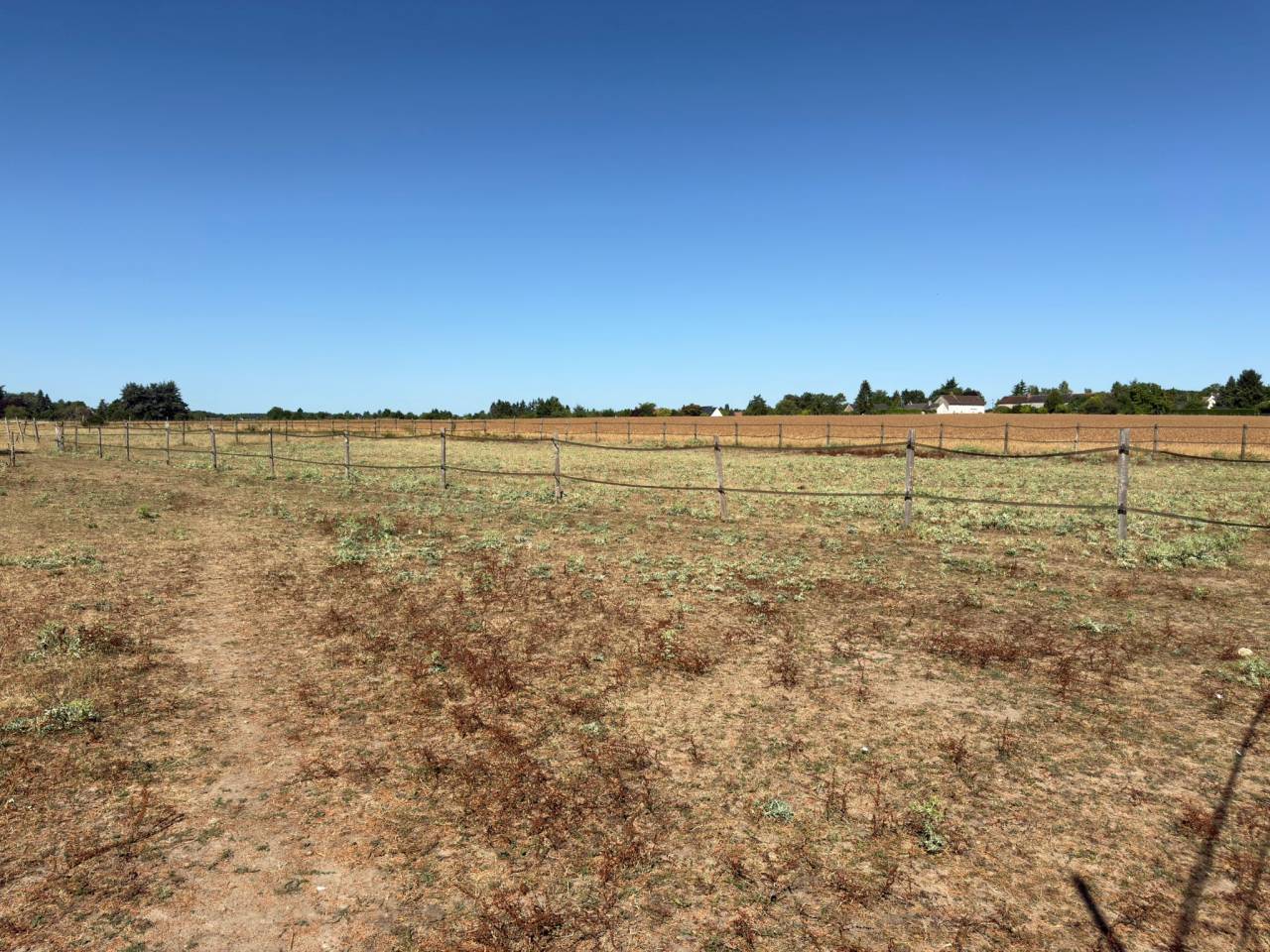 Hippisch vastgoed Koop Loir-et-Cher