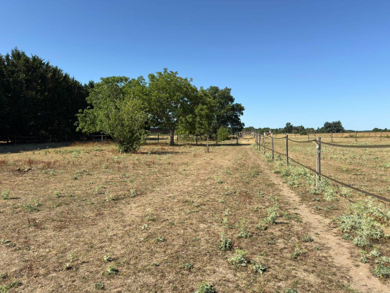 Hippisch vastgoed Koop Loir-et-Cher