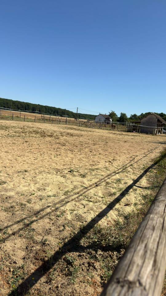 Hippisch vastgoed Koop Loir-et-Cher