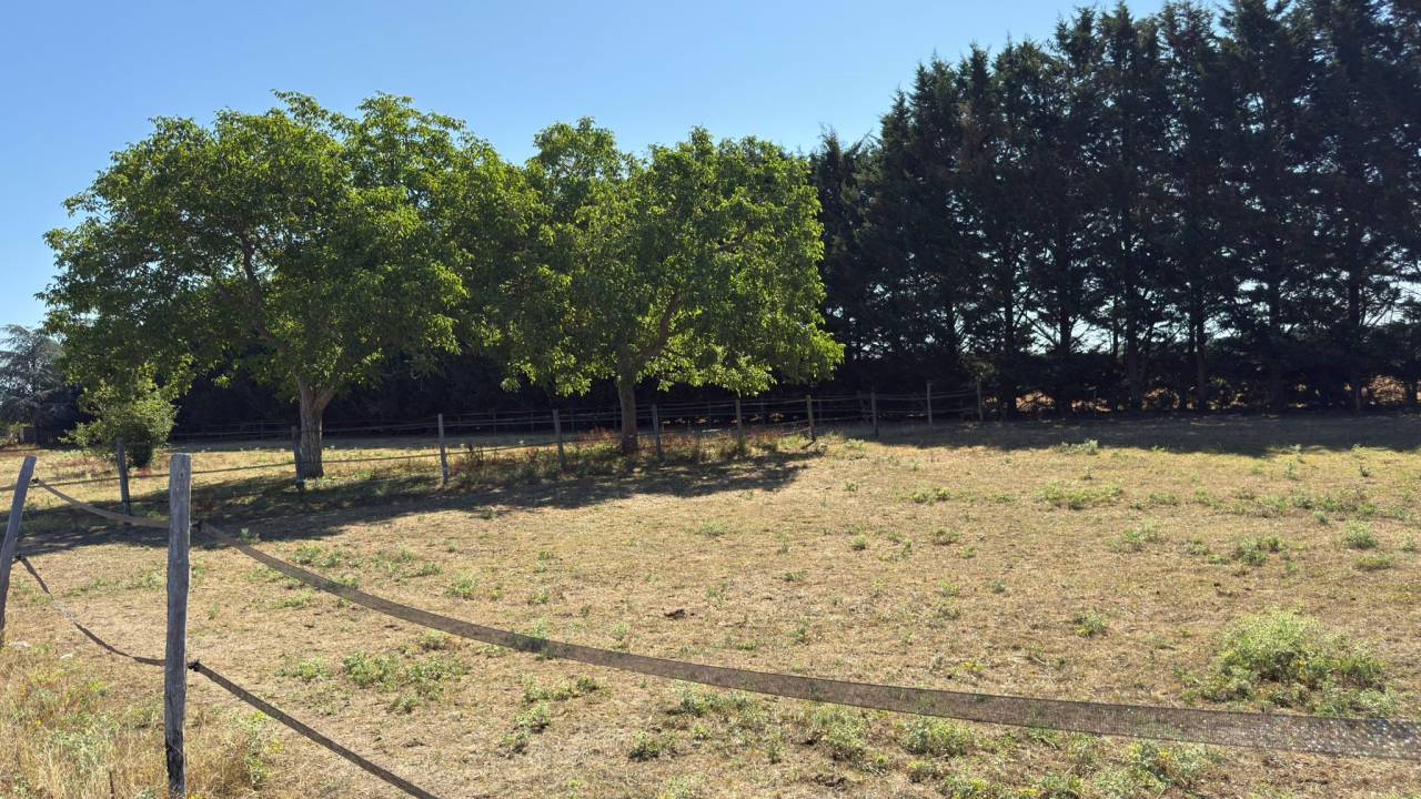 Hippisch vastgoed Koop Loir-et-Cher