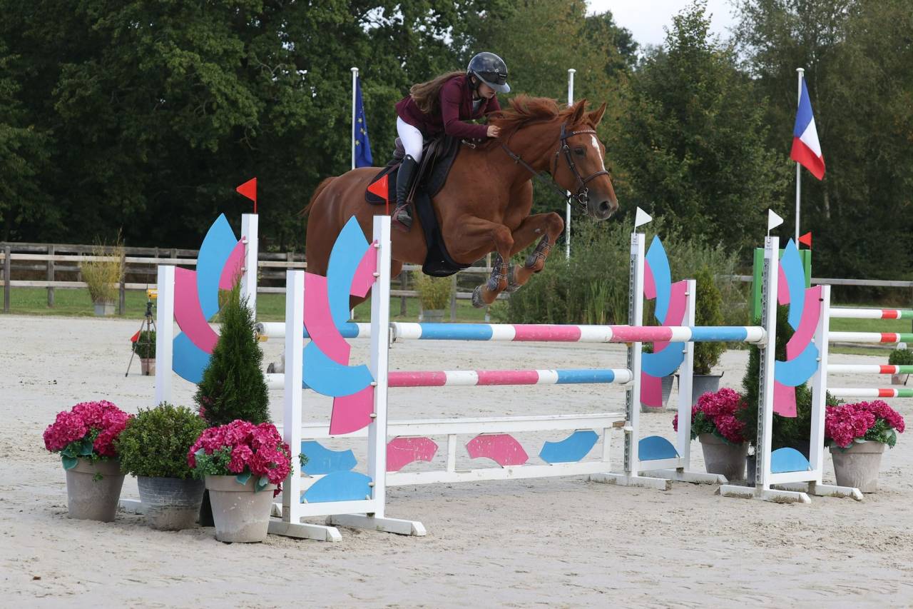 Merrie Selle Français Te koop 2017 Vos ,  DIAMANT DE SEMILLY