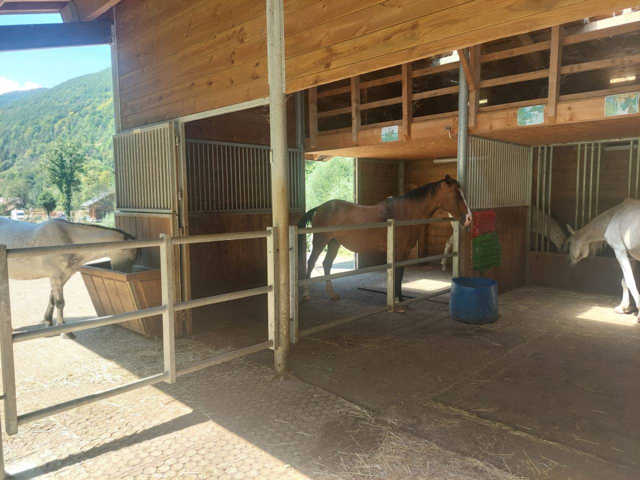 Hippisch vastgoed Koop Ain