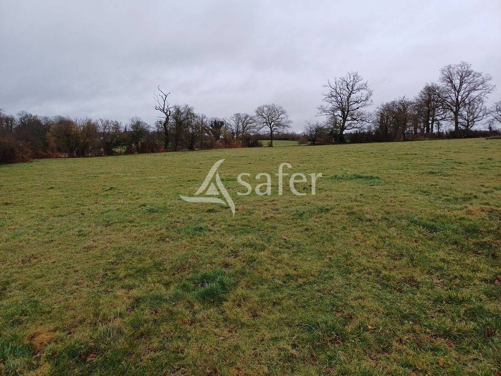Landbouw bedrijf Koop Haute-Vienne