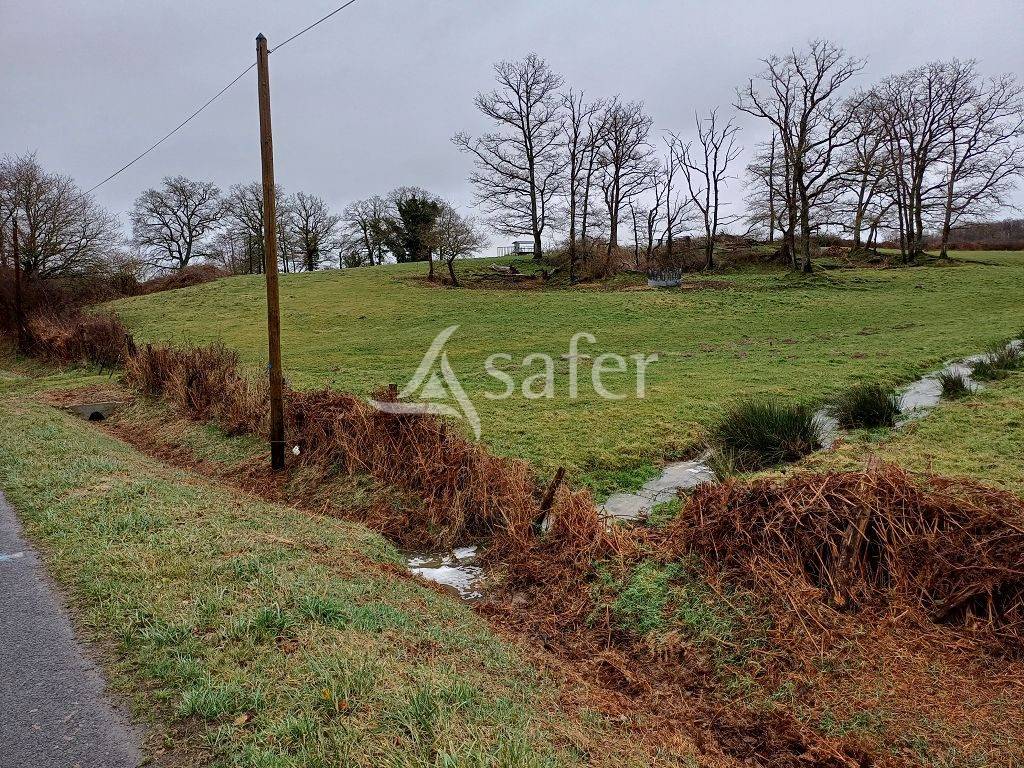 Landbouw bedrijf Koop Haute-Vienne