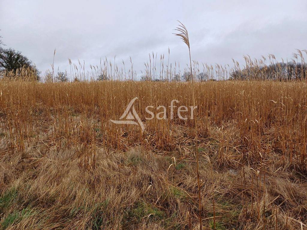Landbouw bedrijf Koop Haute-Vienne