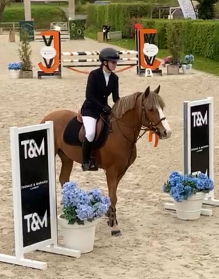 Hengst Franse rijpony PFS Te koop 2017 Lichte manen en staart