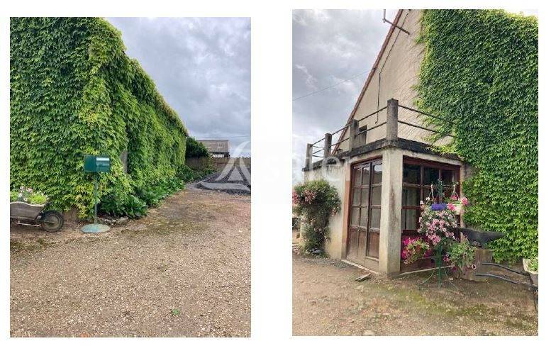 Landbouw bedrijf Koop Saône-et-Loire