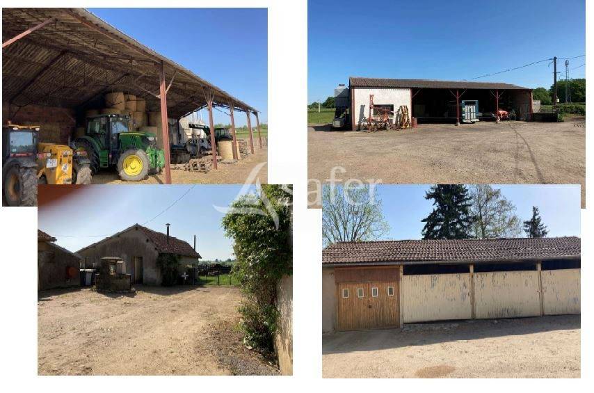 Landbouw bedrijf Koop Saône-et-Loire