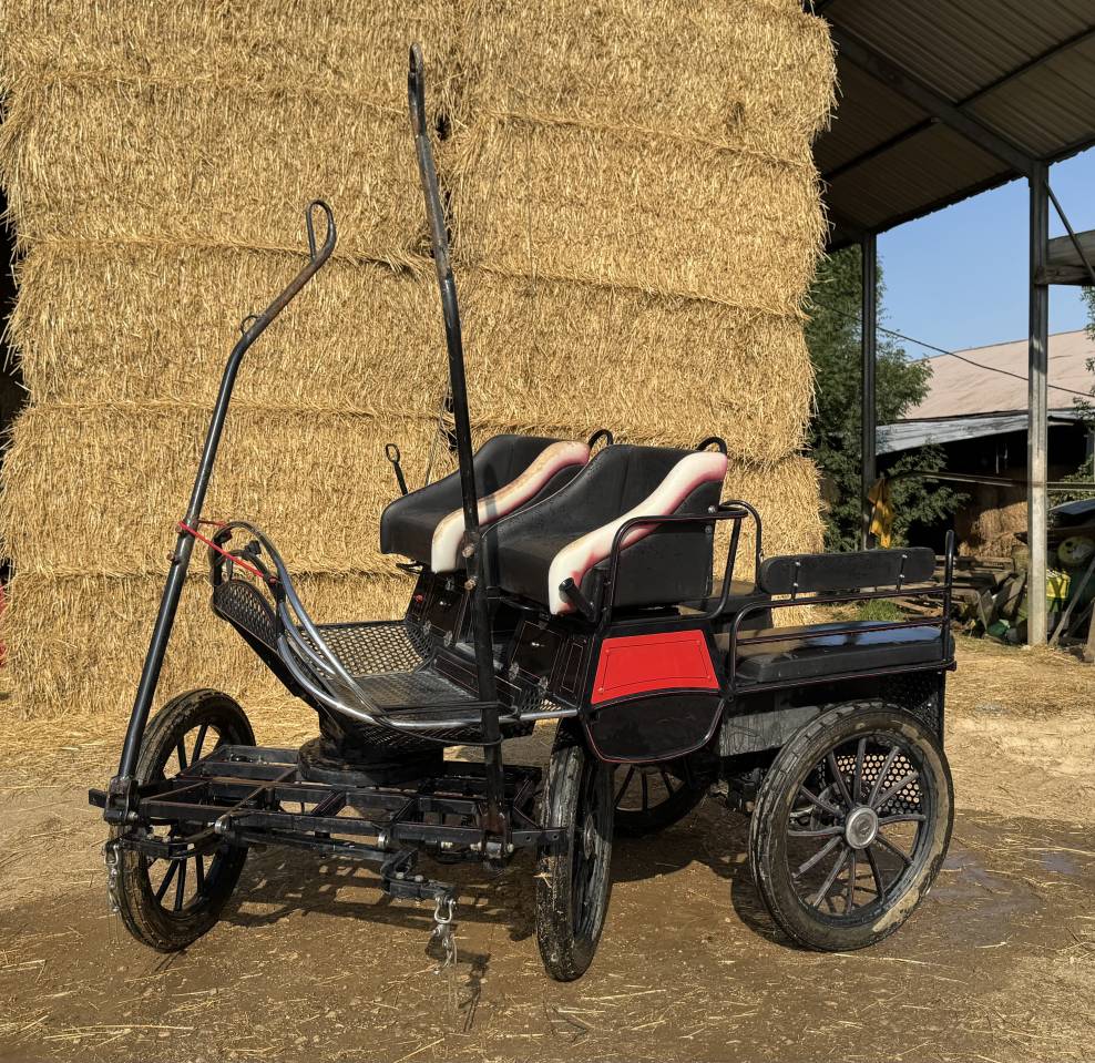 Rijtuigen - Wagonnette - Ander merk -  