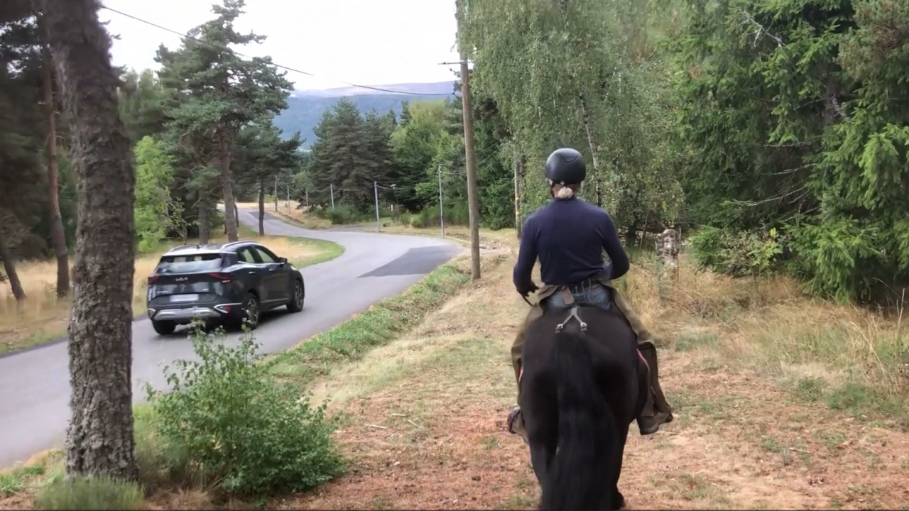 Ruin Mérens Te koop 2022 Zwart ,  obao de sie