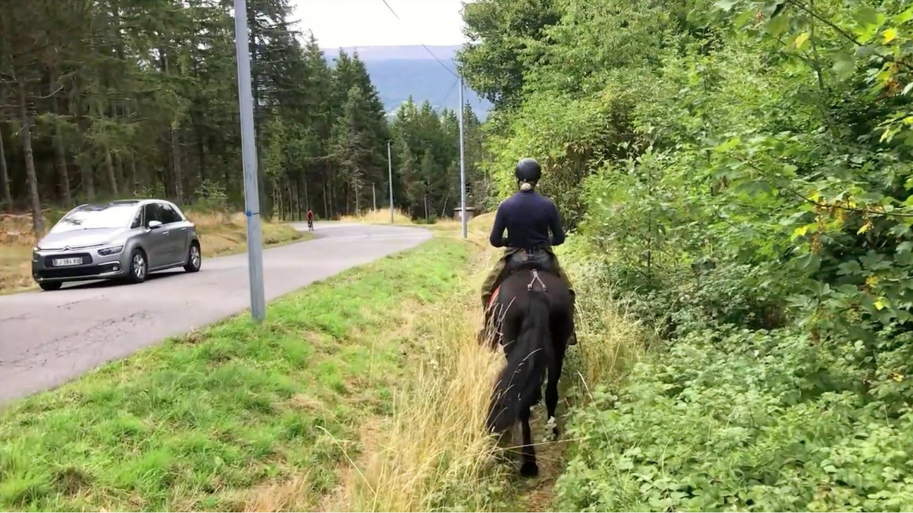 Ruin Mérens Te koop 2022 Zwart ,  obao de sie