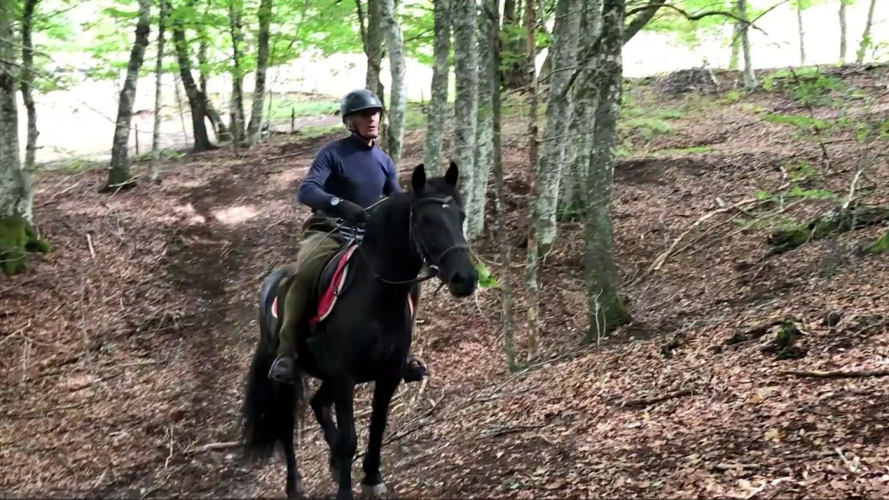 Ruin Mérens Te koop 2022 Zwart ,  obao de sie