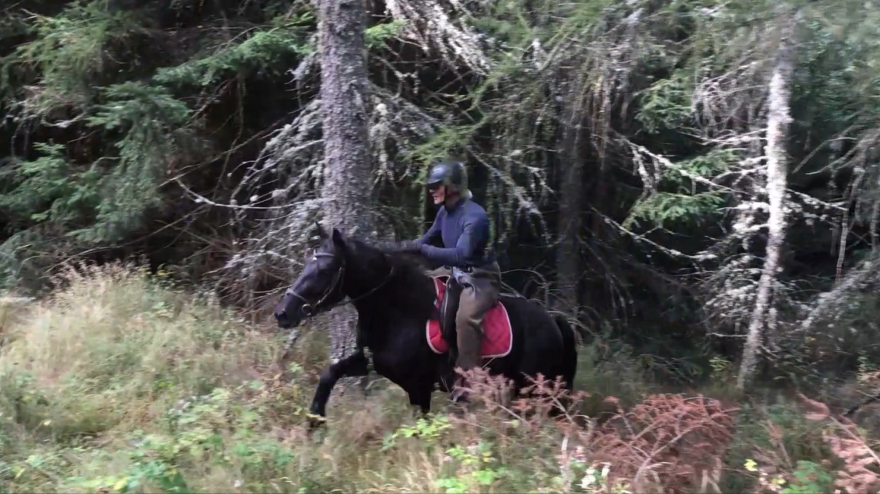 Ruin Mérens Te koop 2022 Zwart ,  obao de sie