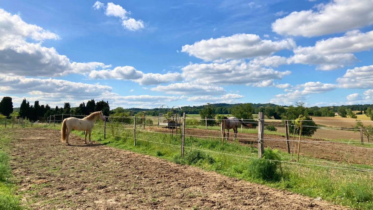 Hippisch toerisme vastgoed Koop Aude