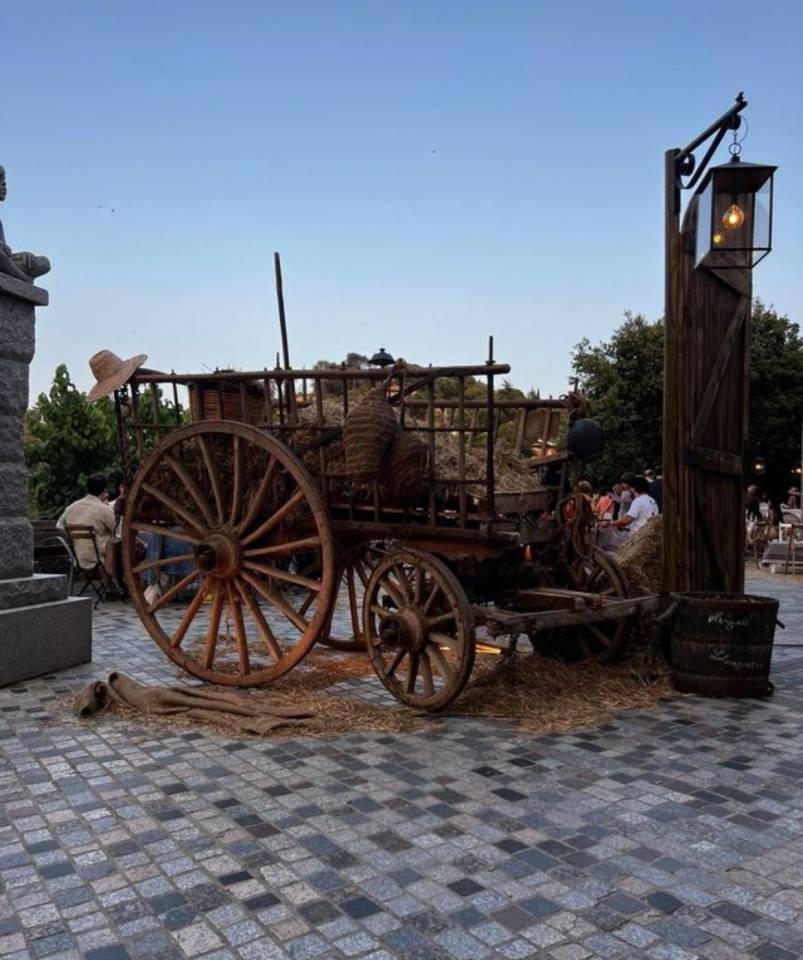 Rijtuigen - Ander rijtuig   