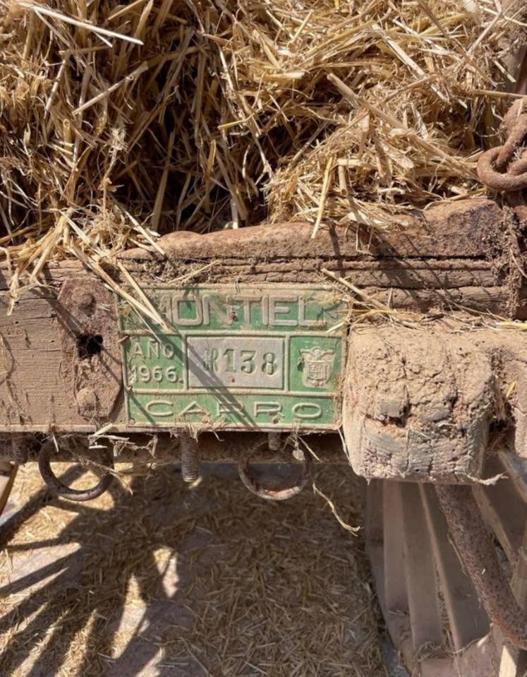 Rijtuigen - Ander rijtuig   