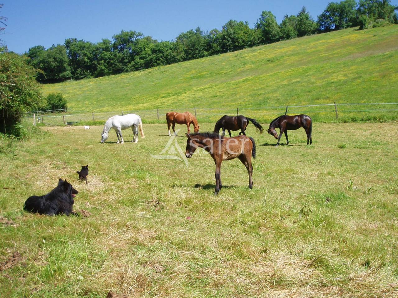Ander plattelands vastgoed Koop Gers
