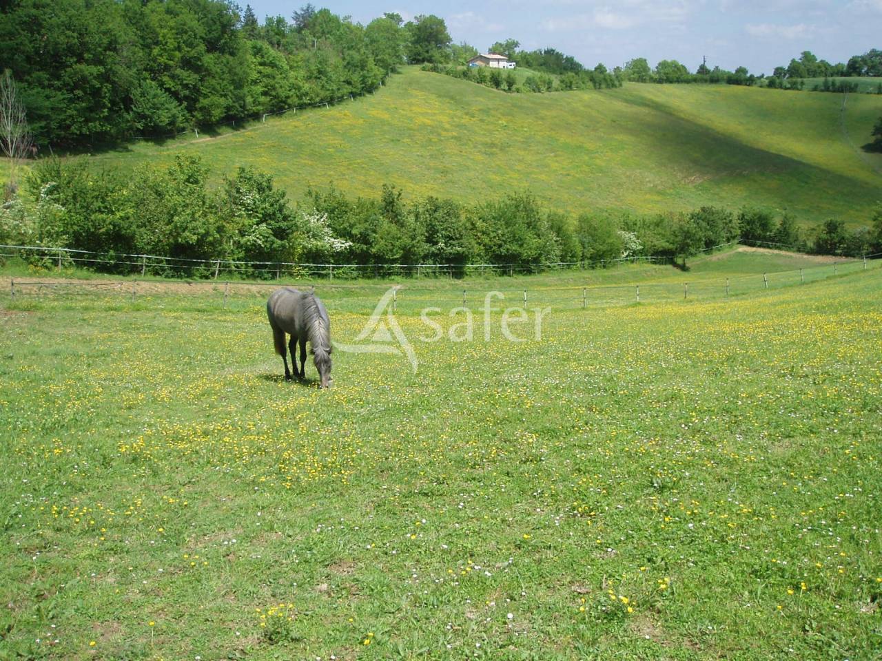 Ander plattelands vastgoed Koop Gers