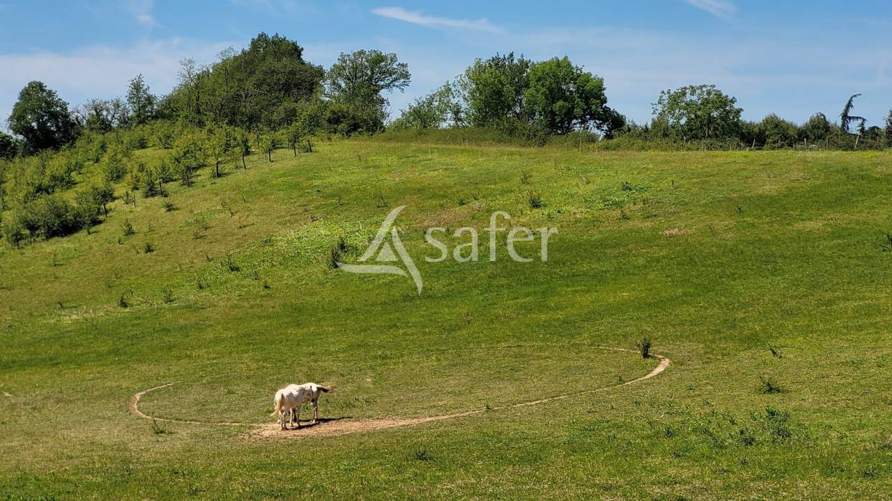 Ander plattelands vastgoed Koop tarn