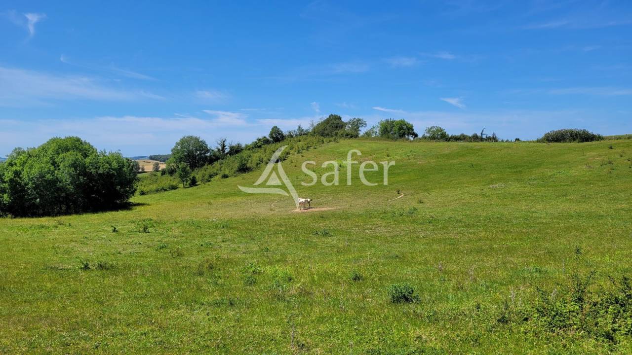 Ander plattelands vastgoed Koop tarn