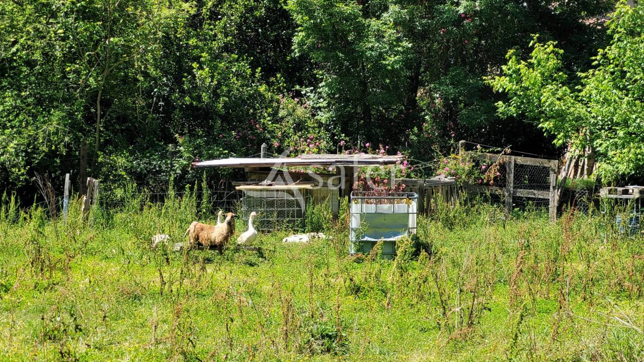 Ander plattelands vastgoed Koop tarn