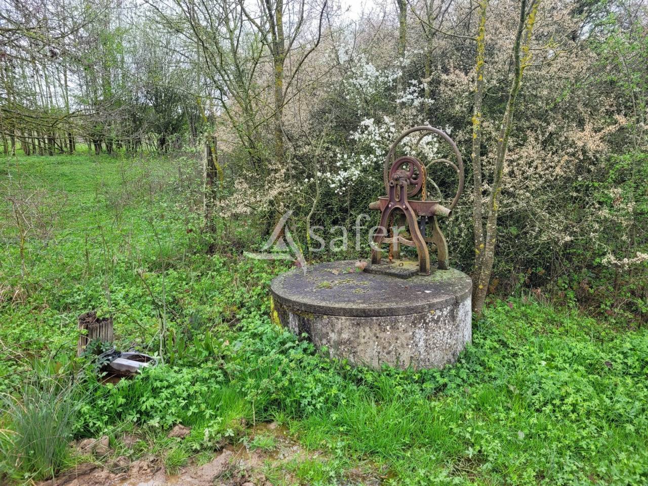 Ander plattelands vastgoed Koop tarn